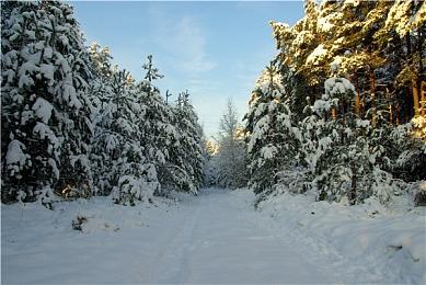 《战锤40K：暗潮》Steam和XGP发布时无法跨平台联机